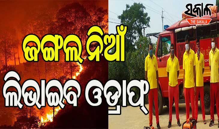 ଜଙ୍ଗଲ ନିଆଁ ଲିଭାଇବା କାର୍ଯ୍ୟରେ ଓଡ୍ରାଫ ଟିମକୁ ନିୟୋଜିତ କରିବାକୁ ମୁଖ୍ୟମନ୍ତ୍ରୀଙ୍କ ନିର୍ଦେଶ