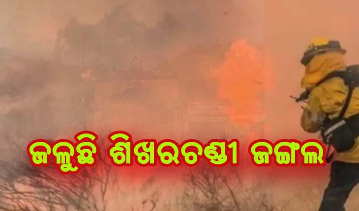 ଶିଖରଚଣ୍ଡୀ ଜଙ୍ଗଲରେ ନିଆଁ