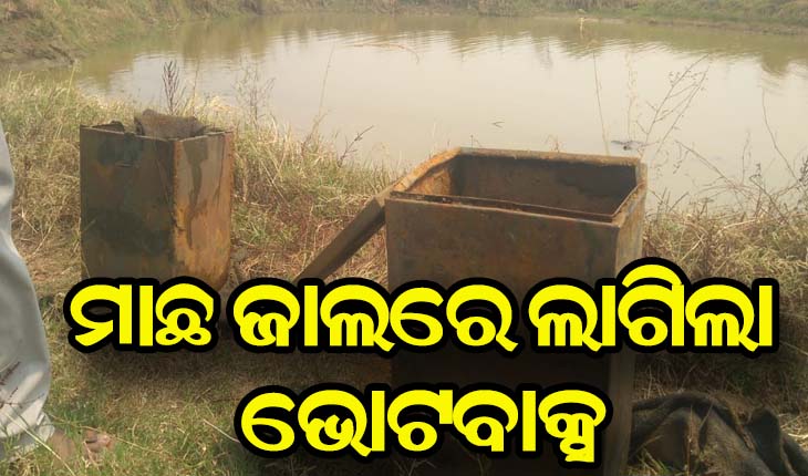 ମାଛ ଜାଲରେ ଲାଗିଲା ଭୋଟବାକ୍ସ 