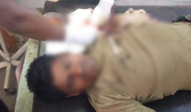 ଜଙ୍ଗଲୀ ବାରାହା ଆକ୍ରମଣ, ୫ ଗୁରୁତର