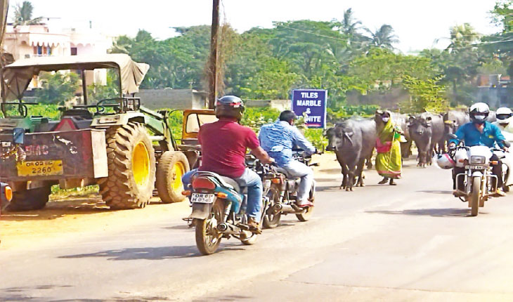 ମଇଁଷିଆଳ କରୁଛନ୍ତି ଟ୍ରାଫିକ୍‌ ନିୟନ୍ତ୍ରଣ : ଜବରଦଖଲରେ ସୁନ୍ଦରପଦା-ଜଟଣୀ ରାସ୍ତା
