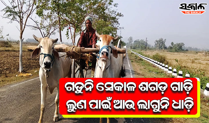 ଗଡୁନି ସେକାଳ ଶଗଡ଼ ଗାଡ଼ି ଲୁଣ ପାଇଁ ଆଉ ଲାଗୁନି ଧାଡ଼ି