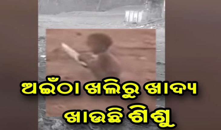 ଭୋକର ବିକଳ ଦୃଶ୍ଯ: ଭୋଜି ପରେ ପଡ଼ିଥିବା ଅଇଁଠା ଖଲିରୁ ଖାଦ୍ଯ ସଂଗ୍ରହ କରୁଛି ଶିଶୁ, ବିଡିଓଙ୍କ ତଦନ୍ତ ନିର୍ଦ୍ଦେଶ