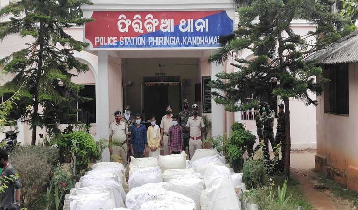 ୧୭ କୁଇଣ୍ଟାଲ ଗଞ୍ଜେଇ ଜବତ, ୩ ଗିରଫ