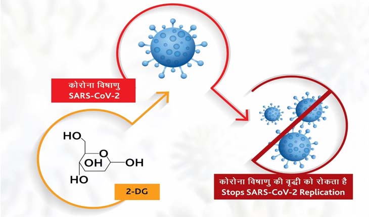 କରୋନା ଲଢ଼େଇରେ ସାମିଲ ହେଲା ଡିଆରଡିଓ ଦ୍ବାରା ପ୍ରସ୍ତୁତ ଔଷଧ ୨-ଡିଅକ୍ସି-ଡି-ଗ୍ଲୁକୋଜ