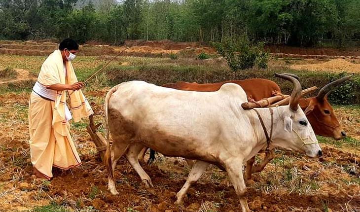 ପବିତ୍ର ଅକ୍ଷୟ ତୃତୀୟା ଅବସରରେ ଅଖିମୁଠି ଅନୁକୂଳ କଲେ କୃଷିମନ୍ତ୍ରୀ