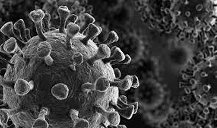 ନୟାଗଡ଼ ଉପକାରାଗାରରେ ୫୧ ଜଣ କରୋନା ଆକ୍ରାନ୍ତ