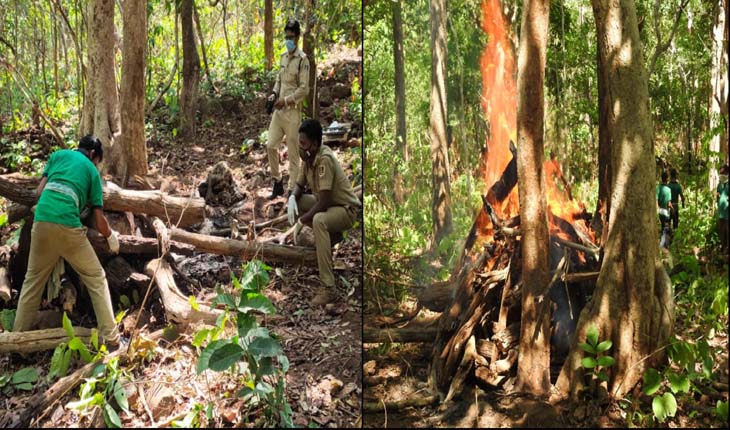 ଶିମିଳିପାଳରେ ପୁଣି ଏକ ହାତୀ ଶାବକର ମୃତ୍ୟୁ