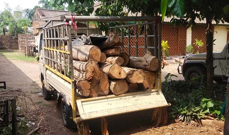 ଖୋର୍ଦ୍ଧା ବନ ବିଭାଗର ଚଢ଼ାଉ: ଲକ୍ଷାଧିକ ଟଙ୍କାର ଶାଗୁଆନ କାଠ ବୋଝେଇ ଟାଟା ଏସି ଜବତ
