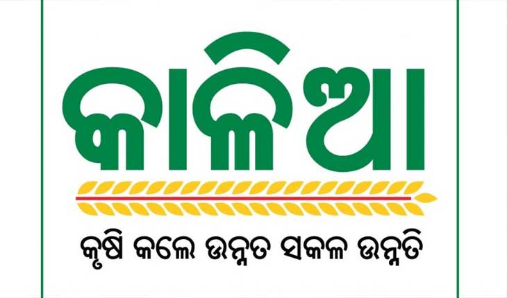 ଆଜି ମିଳିବ ‘କାଳିଆ ସହାୟତା’ ରାଶି