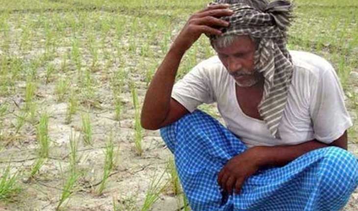 ପିଏମ୍‍-କିସାନ ସହାୟତାରୁ ରାଜ୍ୟର ୧୪ ଲକ୍ଷ ଚାଷୀ ବଞ୍ଚିତ
