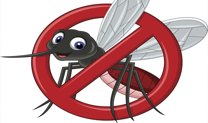 ବିଜ୍ଞାନର କରାମତି: ମଶାଙ୍କୁ ମାରିବେ ମଶା