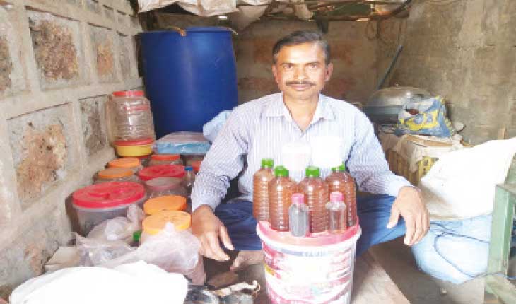 ରୋଗ ପ୍ରତିରୋଧକ ଶକ୍ତି ବୃଦ୍ଧି ପାଇଁ ପଞ୍ଚଗବ୍ୟ ଚିକିତ୍ସା