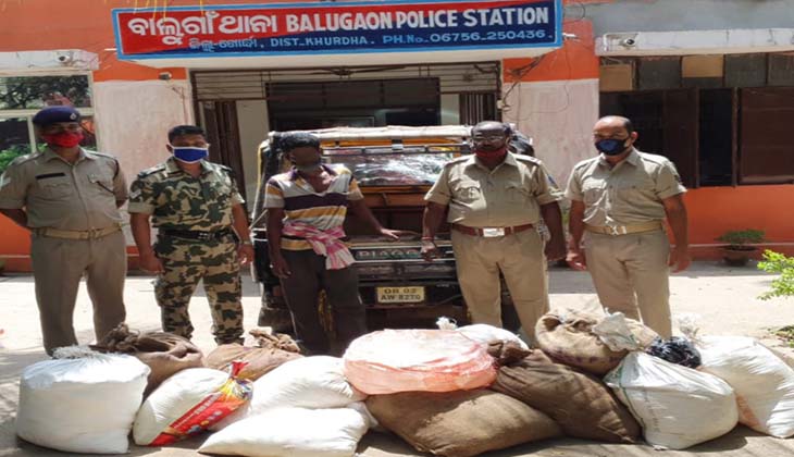 ୧୪ଶହ ପ୍ଯାକେଟ ଚୋରା ଦେଶୀ ମଦ ବୋଝେଇ ଅଟୋ ଜବତ, ଜଣେ ଗିରଫ