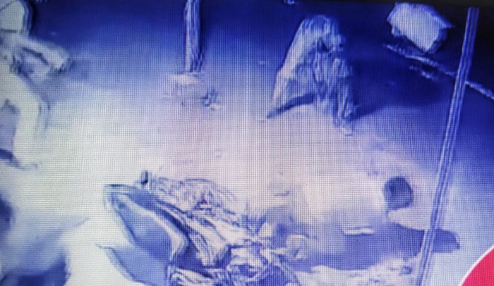 ୩ ଚୋରଙ୍କୁ ଖଣ୍ଡାଚୋଟ