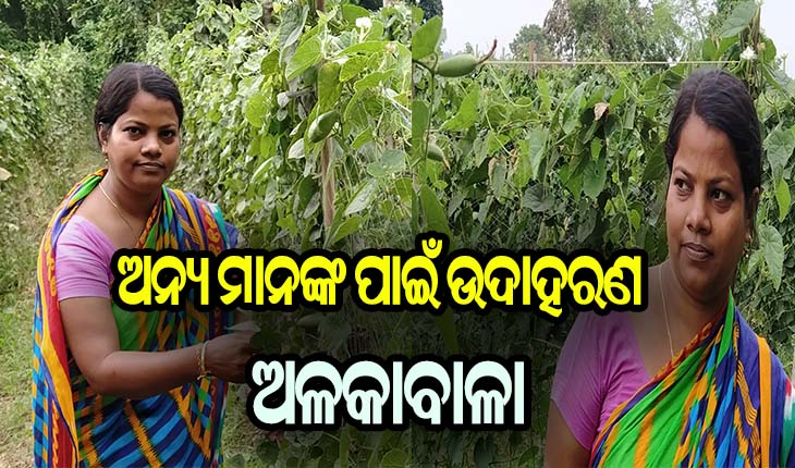 ଅନ୍ୟ ପାଇଁ ଉଦାହରଣ: ସ୍ବାମୀଙ୍କ ବିୟୋଗ ପରେ ଝିଅକୁ ମଣିଷ କରିବା ପାଇଁ ମା’ର ସଙ୍ଘର୍ଷ, ଅଢେଇ ଏକର ଜମିରେ ପରିବା ଚାଷ କରି ପୋଷୁଛନ୍ତି କୁଟୁମ୍ବ