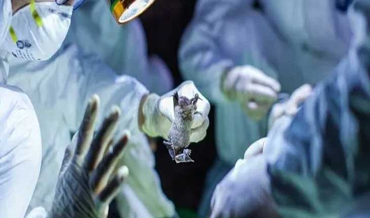 ଜୀବଙ୍କ ଜିନ୍ ବଦଳାଉଛି ଚୀନ୍, ହୋଇପାରେ ନୁଆ ଭାଇରସର ଜନ୍ମ !