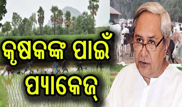 ବାତ୍ୟା ‘ୟସ’ ପ୍ରଭାବିତ କୃଷକଙ୍କ ପାଇଁ ସହାୟତା ଘୋଷଣା କଲେ ମୁଖ୍ଯମନ୍ତ୍ରୀ