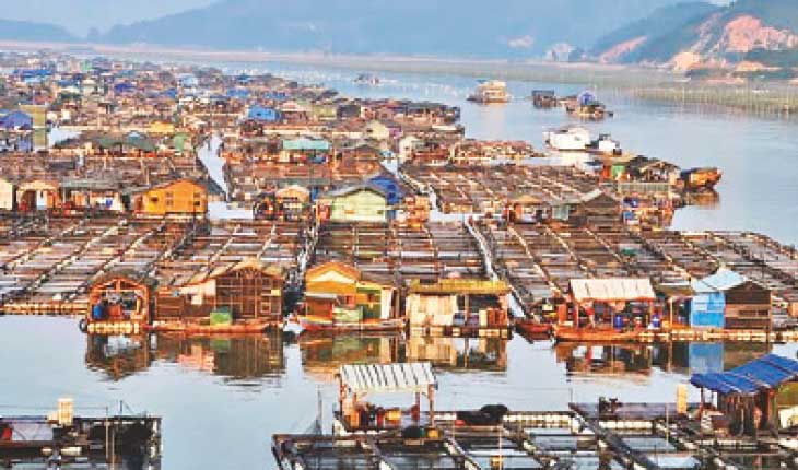 ଆସନ୍ତୁ ଜାଣିବା ଏପରି ଏକ ଗାଁ ବିଷୟରେ ଯେଉଁଠାରେ ସବୁ ଲୋକ ପାଣିରେ ରୁହନ୍ତି………