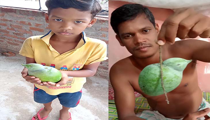 ଚଢେଇ ଆକୃତିର ଆମ୍ବ ଦେଖିବାକୁ ଲୋକଙ୍କ ମଧ୍ୟରେ ଭିଡ