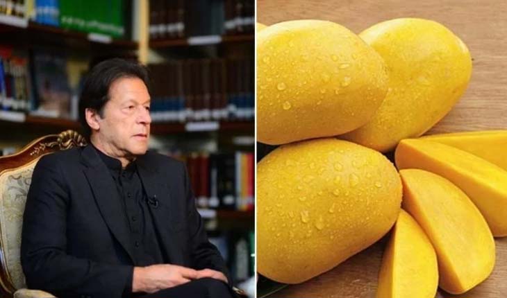 ଫେଲ୍ ମାରିଲା ପାକିସ୍ତାନର ‘ଆମ୍ବ କୂଟନୀତି’, ଉପହାର ପଠାଯାଇଥିବା ଆମ୍ବକୁ ଗ୍ରହଣ କଲାନି ଚୀନ ଓ ଆମେରିକା