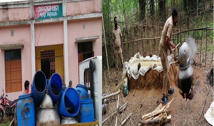 ବେଆଇନ ମଦ ଭାଟିରୁ ୭କ୍ବିଣ୍ଟାଲ ପୋଚ ସହ ୪୦ଲିଟର ଦେଶୀ ମଦ ଜବତ