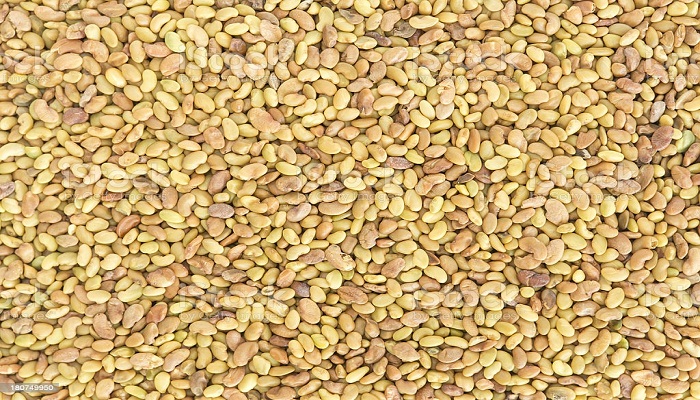 ନୟାଗଡ଼ରୁ ଶୁଭୁଛି ମଞ୍ଜି ସଂଗ୍ରହର ଆହ୍ବାନ…