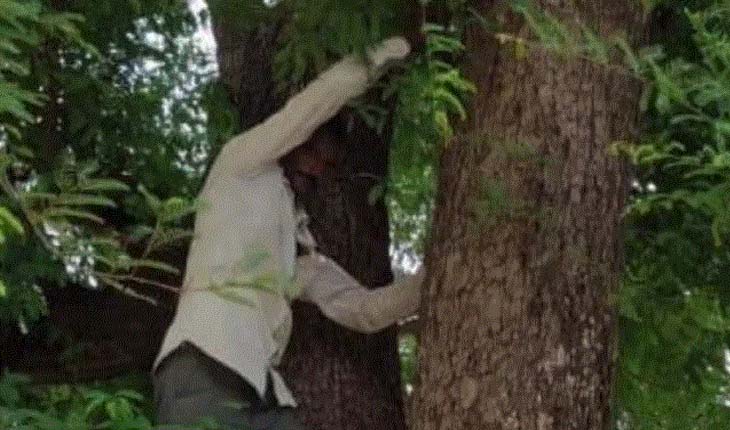 କରୋନା ଟିକା ନନେବା ପାଇଁ ଆଧାର କାର୍ଡ ଧରି ଗଛ ଉପରେ ଚଢ଼ିଗଲେ ଯୁବକ