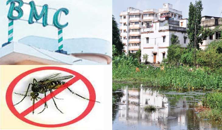 ଡେଙ୍ଗୁ ମୁକାବିଲା ପାଇଁ ବିଏମ୍‍ସିର ମାର୍ଗଦର୍ଶିକା : ପାଣି ଜମିଥିଲେ ଜରିମାନା