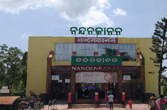 ନନ୍ଦନକାନନକୁ ଆସିଲା ନୂଆ ଅତିଥି, ମା’ ହେଲା ସିଂହୀ ‘ବିଜଲୀ’