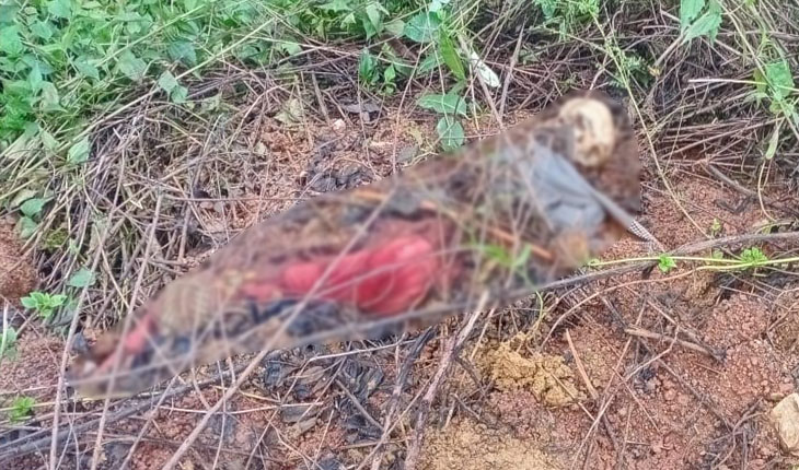 କାଳିମା ପୋଲ ନିକଟରୁ ନରକଙ୍କାଳ ଉଦ୍ଧାର