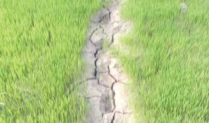 ରାଜ୍ୟର ୧୪ ଜିଲ୍ଲାରେ ସ୍ଥିତି ଚିନ୍ତାଜନକ, ୩ ଜିଲ୍ଲାରେ ସାଂଘାତିକ