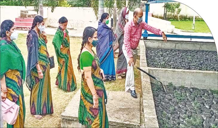 ମହିଳା ସମ୍ଭାଳିବେ ସେପ୍ଟେଜ୍‍ ପ୍ଲାଣ୍ଟ