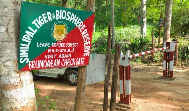 ଶିମିଳିପାଳ ଅଭୟାରଣ୍ୟରୁ ୩ ଶିକାରୀ ଗିରଫ