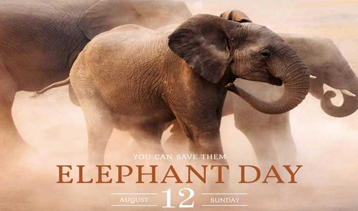 ହାତୀ ପାଇଁ ଦିନଟିଏ : ବିଶ୍ବ ହସ୍ତୀ ଦିବସ