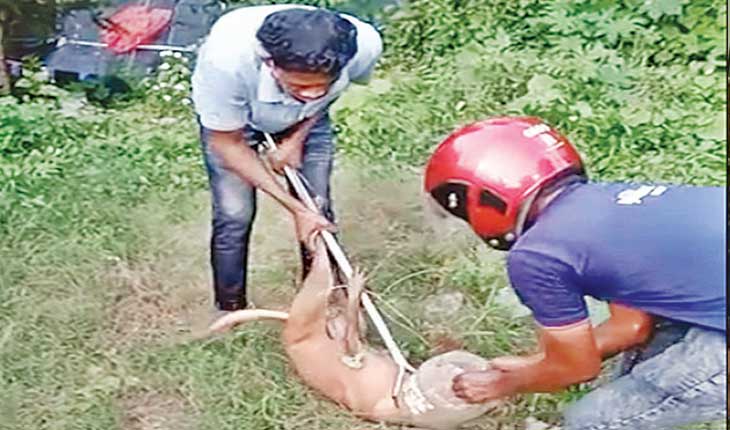 ଟୁଇଟ୍‍ ପରେ କୁକୁର ମୁହଁରୁ ଡବା କାଢ଼ିଲା ବିଏମ୍‍ସି