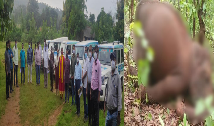 ଜଣାପଡିଲା କେନ୍ଦୁଝରରେ ମରିଥିବା ୪ ହାତୀଙ୍କର ମୃତ୍ୟୁର କାରଣ