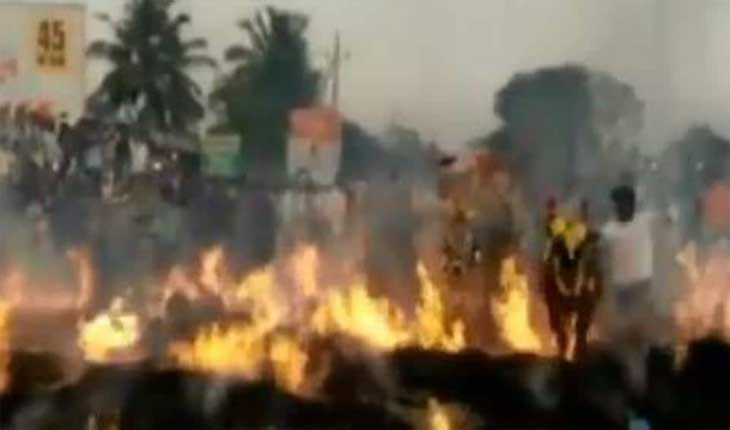 ନିଆଁ ଲାଗି ଗାଈ, ବାଛୁରୀ ଦଗ୍ଧ