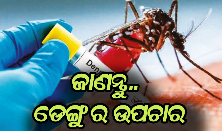 ରୋଗ ଗୋଟିଏ ଉପଚାର ଅନେକ: ଜାଣନ୍ତୁ ଡେଙ୍ଗୁ ହେଲେ କିପରି କରିବେ ଉପଚାର