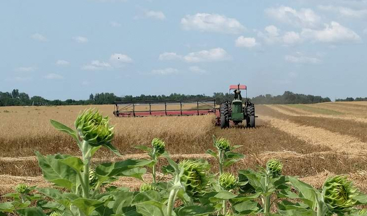 ଜମି ଅସଲି ଚାଷୀ ନକଲି: ବର୍ଷ ବର୍ଷ ଧରି ହଜମ କରୁଥିଲେ ଫସଲବୀମା ଟଙ୍କା, ଗିରଫ ହେଲେଣି ୧୦ଜଣ