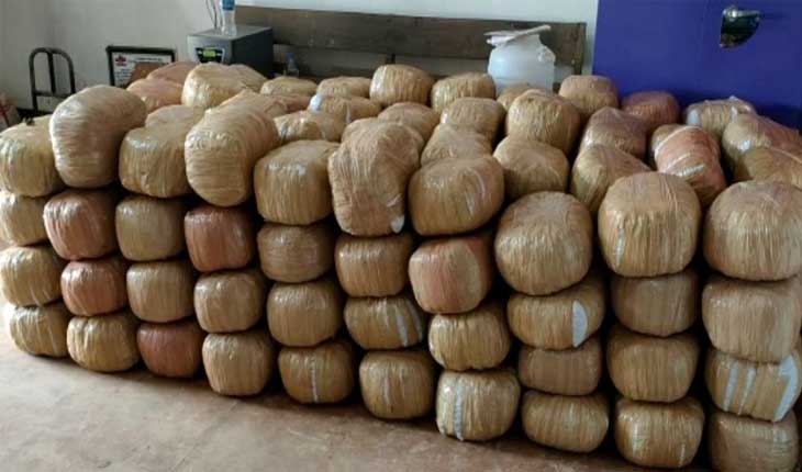 ଆଲମାରୀ ବୋଝେଇ ଗାଡ଼ିରୁ ୮୦ ଲକ୍ଷ ଟଙ୍କାର ଗଞ୍ଜେଇ ଜବତ, ୨ ଗିରଫ