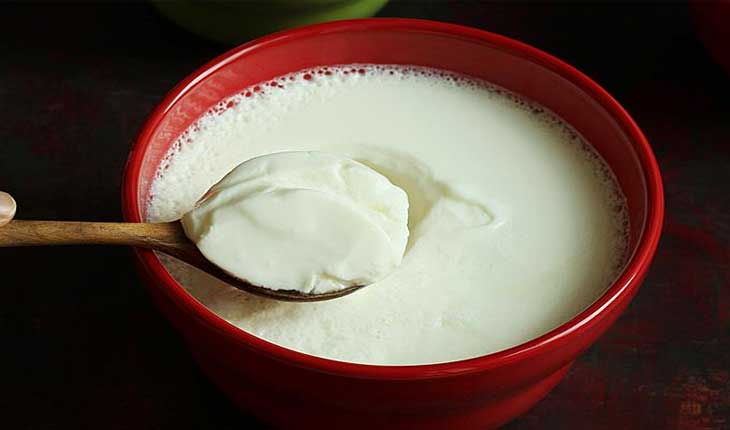 କାହାପାଇଁ କ୍ଷତିକାରକ ଦହି