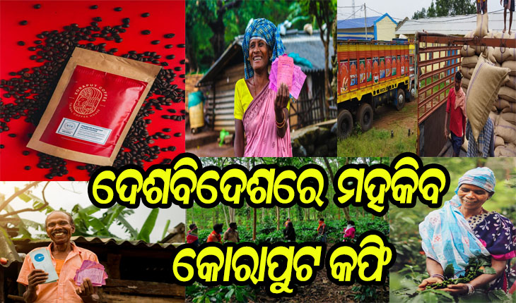 ‘କୋରାପୁଟ କଫି’ଚାଷୀଙ୍କୁ ମୁଖ୍ଯମନ୍ତ୍ରୀଙ୍କ ପ୍ରଶଂସା: ପ୍ରଥମ ଥର ପାଇଁ ଓଡ଼ିଶାରୁ କଫି କ୍ରୟ କରିବ ଟାଟା କମ୍ପାନୀ; ବଜାୟ ରହିବ ସ୍ୱତନ୍ତ୍ରତା, ବଢ଼ିବ ଚାହିଦା