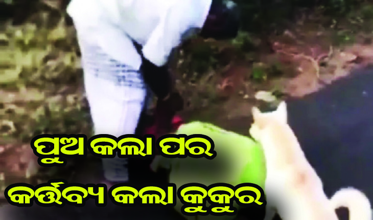 ପୁଅ କଲା ପର କର୍ତ୍ତବ୍ୟ କଲା କୁକୁର