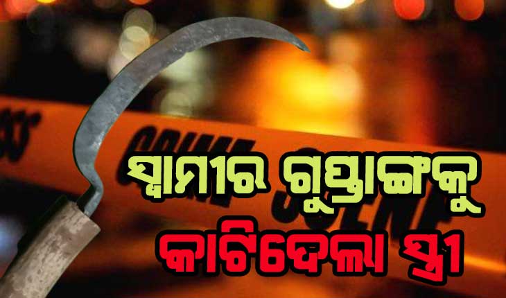 ଘରୋଇ କଳହର କରୁଣ ପରିଣତି: ସ୍ବାମୀର ଠେଙ୍ଗା ମାଡ଼ରେ ସ୍ତ୍ରୀର ଝଡ଼ିଲା ସବୁ ଦାନ୍ତ, ଉତକ୍ଷିପ୍ତ ହୋଇ ସ୍ୱାମୀର ଗୁପ୍ତାଙ୍ଗକୁ ଦା’ରେ କାଟିଦେଲା ସ୍ତ୍ରୀ