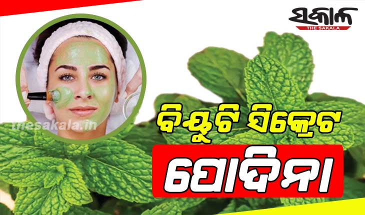 ବିୟୁଟି ସିକ୍ରେଟ – ପୋଦିନା