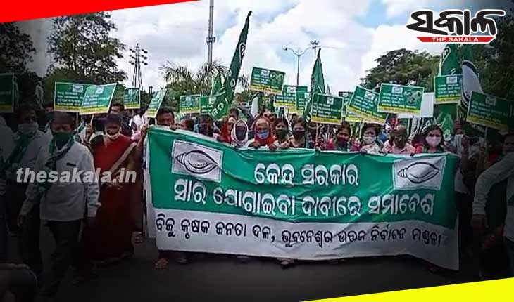 କର୍ଣ୍ଣପାତ କରୁନି କେନ୍ଦ୍ର: ଚାଷୀଙ୍କୁ ଆବଶ୍ୟକ ମୁତାବକ ସାର ଯୋଗାଇ ଦେବା ପାଇଁ ବିଜେଡିର ବିକ୍ଷୋଭ ପ୍ରଦର୍ଶନ