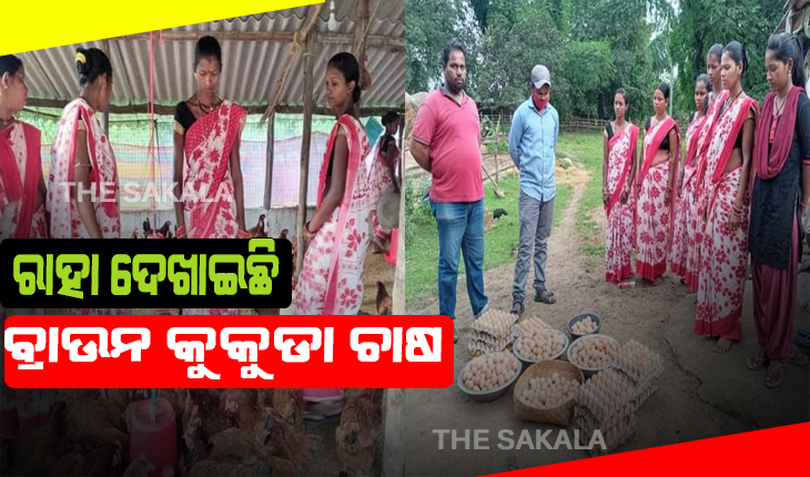 ଆର୍ଥିକ ମେରୁଦଣ୍ତକୁ ସୁଦୃଢ କଲା ସରକାରୀ ଯୋଜନା: ରାହା ଦେଖାଇଲା ବ୍ରାଉନ କୁକୁଡା ଚାଷ