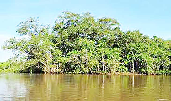 ଭିତରକନିକାକୁ ବିପଦ ରେଙ୍ଗାଳି କେନାଲ