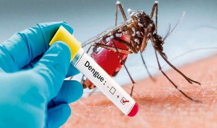 ଦେଶରେ ବ୍ୟାପୁଛି ସେରୋଟାଇପ-୨ ଡେଙ୍ଗୁ: ଓଡିଶା ସମେତ ୧୧ଟି ରାଜ୍ୟକୁ ସତର୍କ ରହିବା ଲାଗି କେନ୍ଦ୍ରର ପରାମର୍ଶ